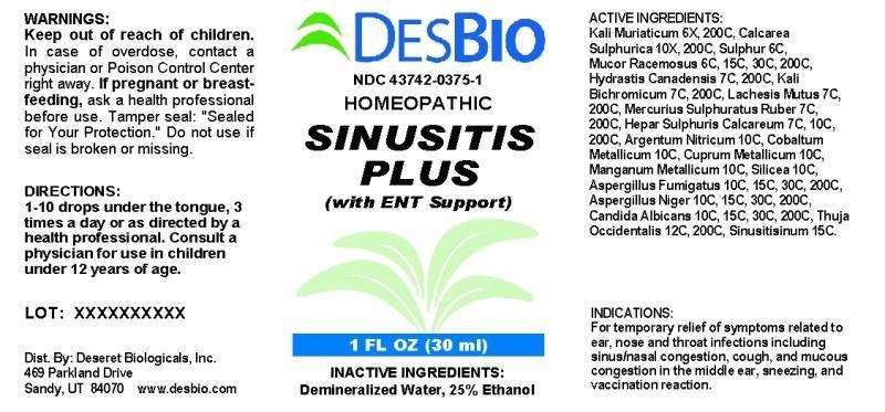 Sinusitis Plus